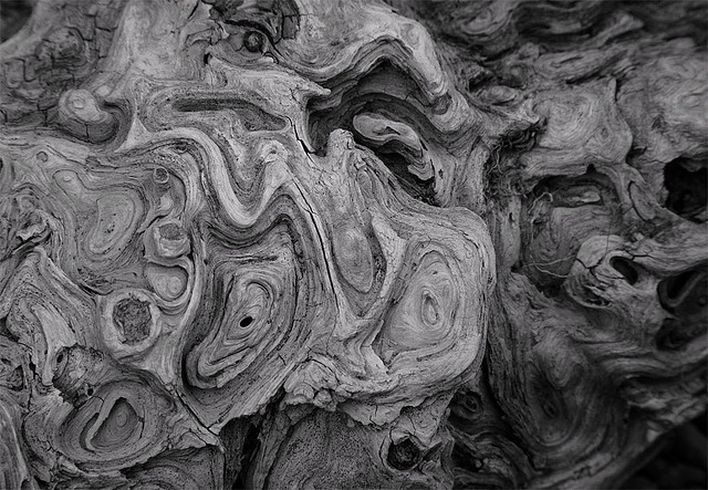 Archillect ID 187551