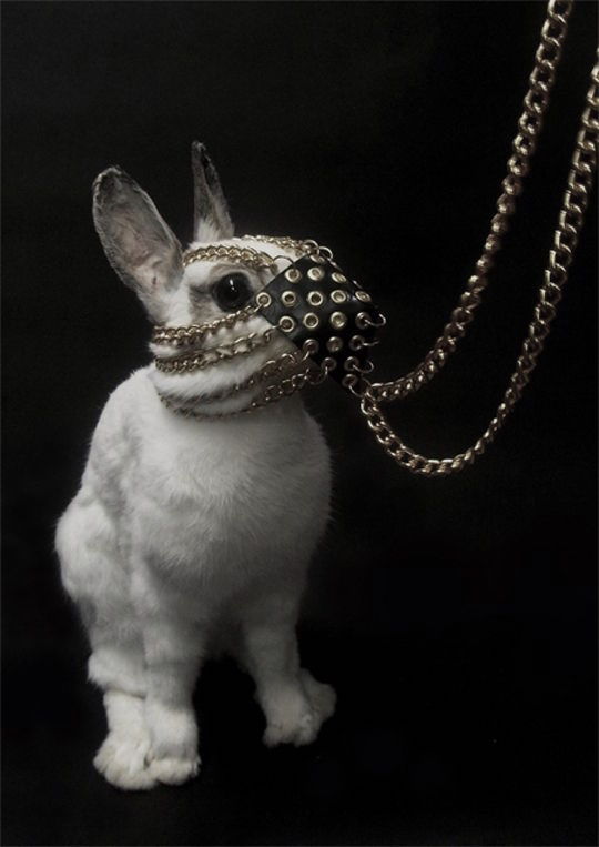 Archillect ID 187604