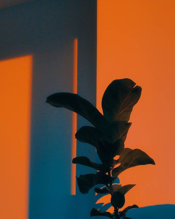 Archillect ID 187638