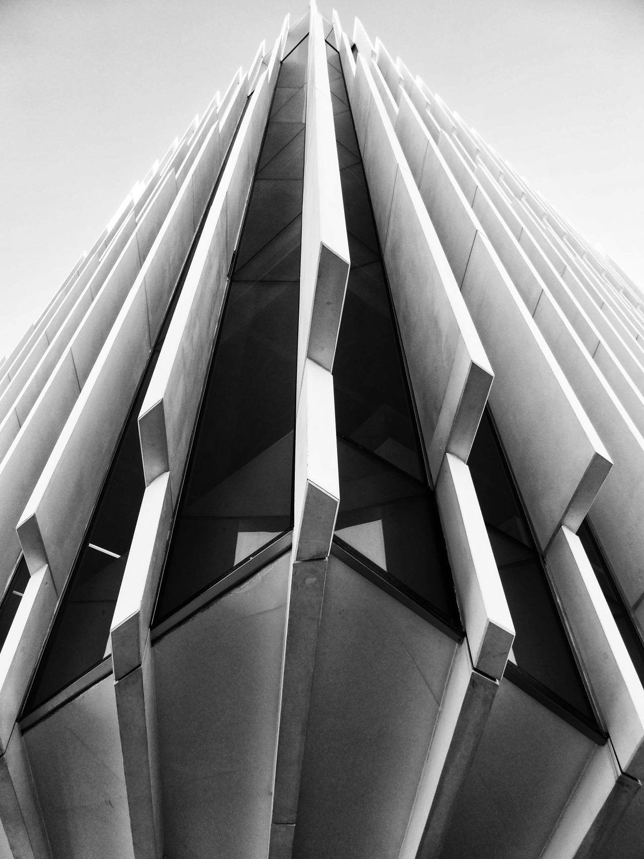 Archillect ID 187639