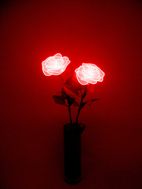 Archillect ID 187678