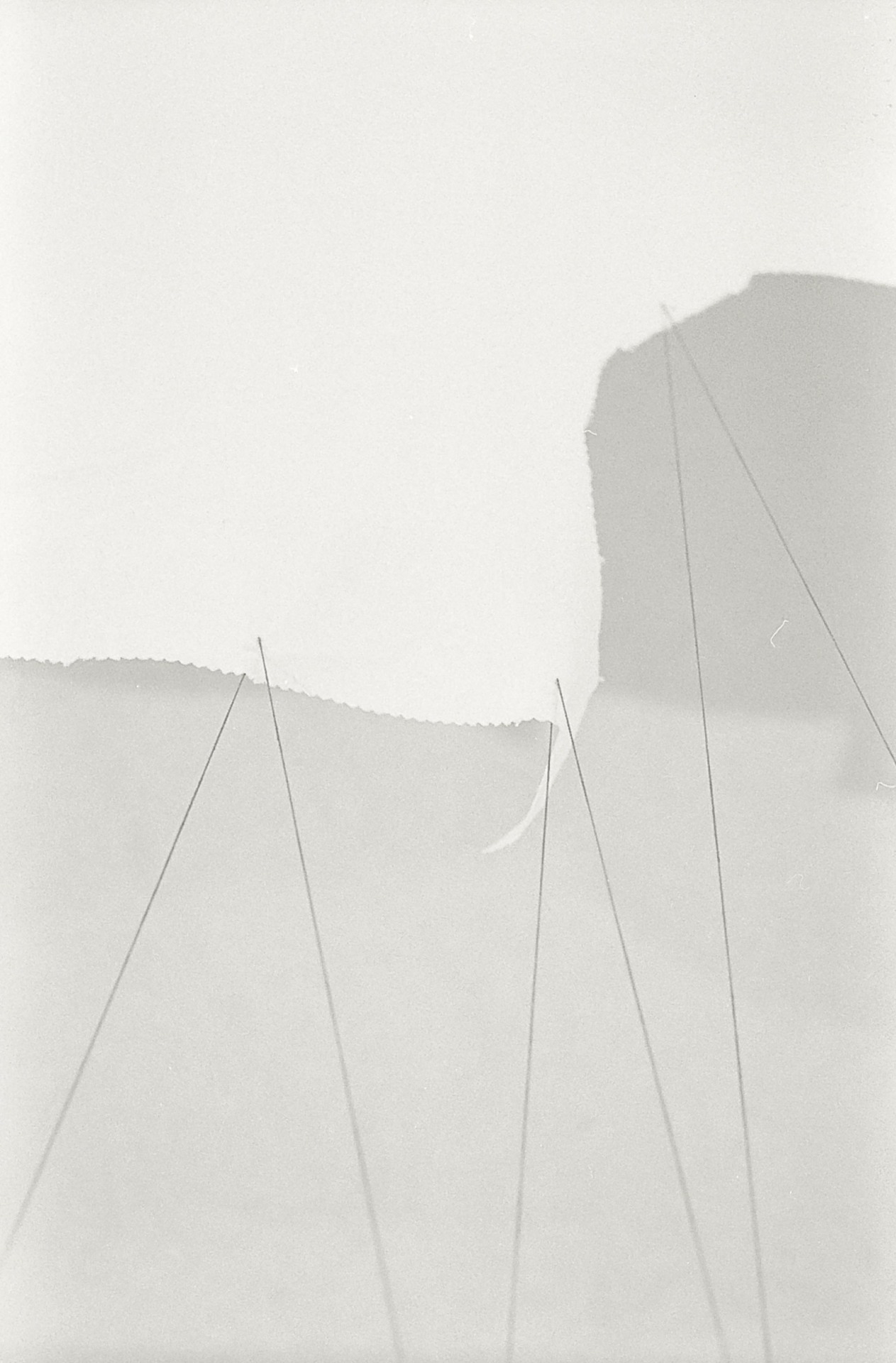 Archillect ID 187828