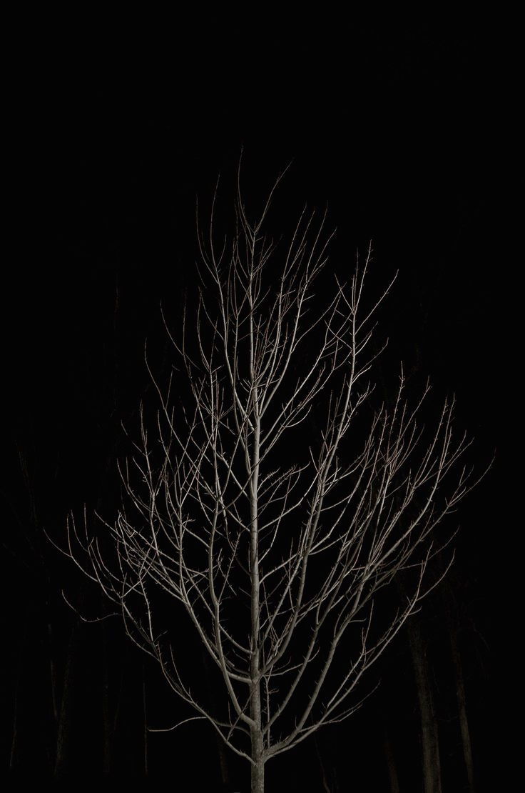 Archillect ID 187847