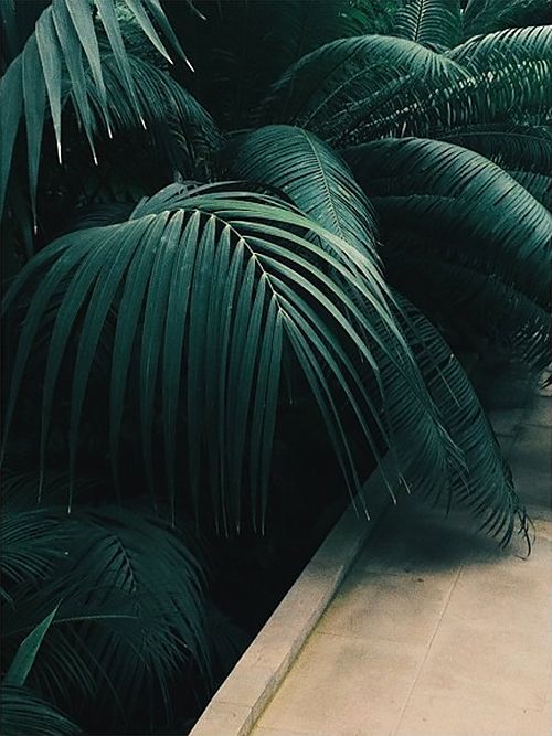 Archillect ID 187881