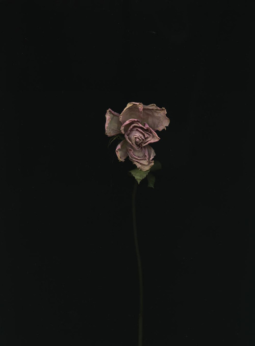 Archillect ID 187920