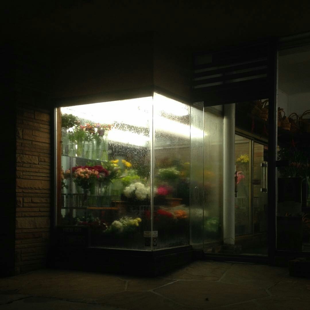 Archillect ID 188072