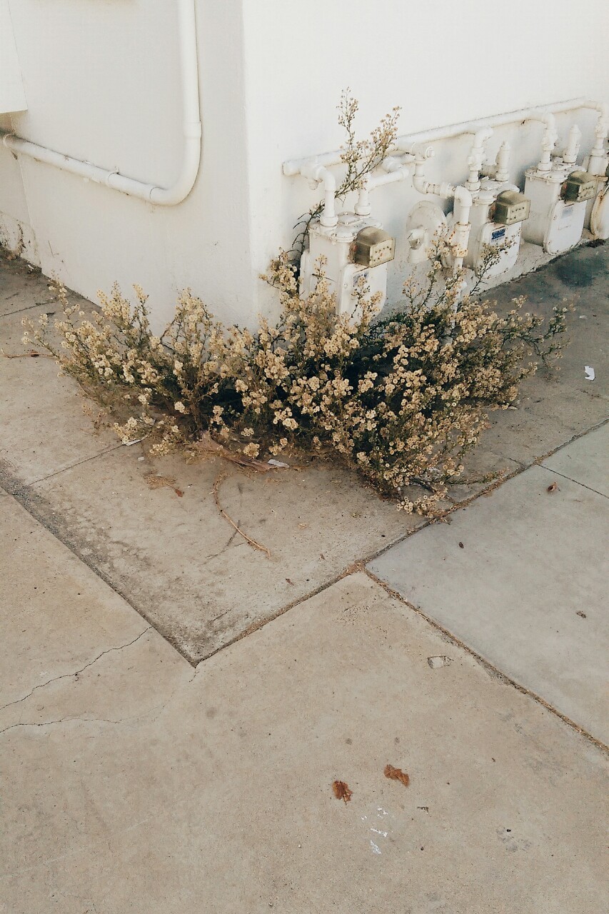 Archillect ID 188250
