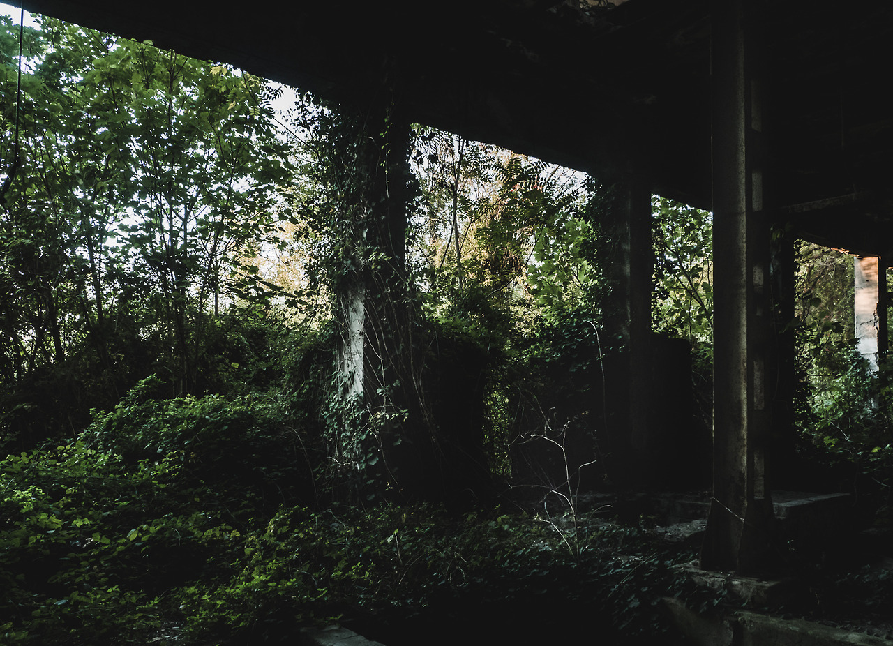 Archillect ID 188420