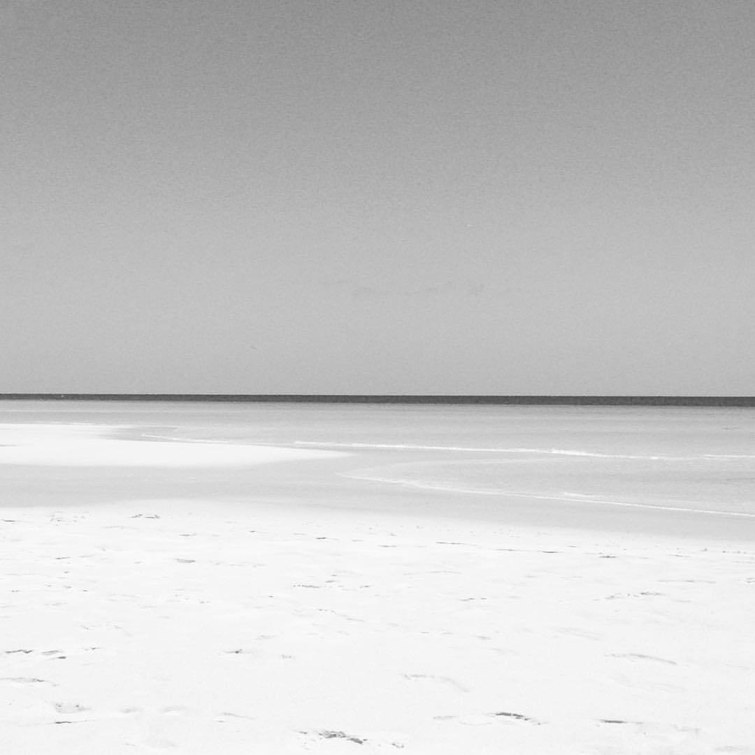 Archillect ID 188481