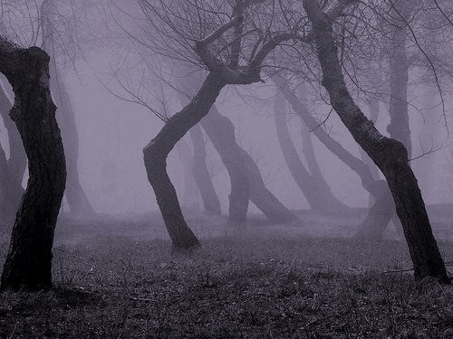 Archillect ID 189647
