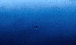 Archillect ID 189716