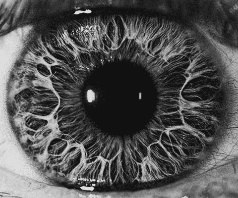 Archillect ID 190103