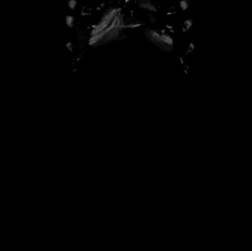Archillect ID 190124