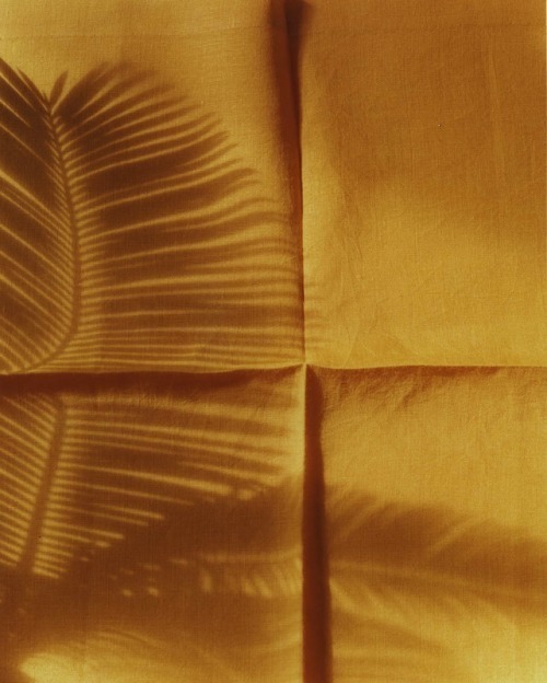Archillect ID 190152