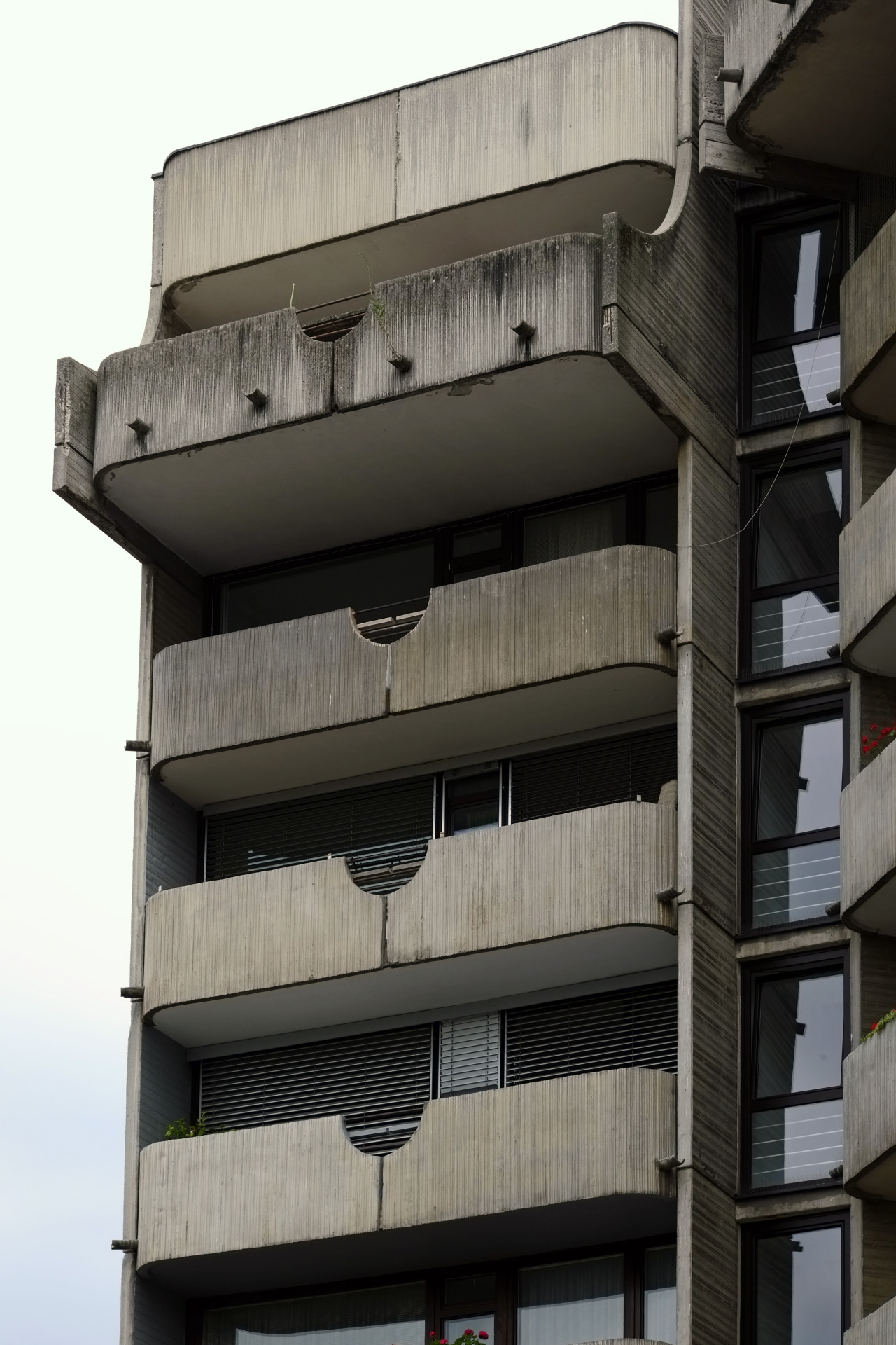 Archillect ID 190247