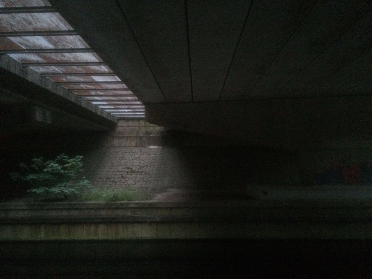 Archillect ID 190305