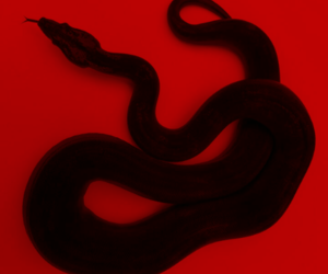 Archillect ID 190846