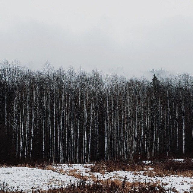 Archillect ID 191061