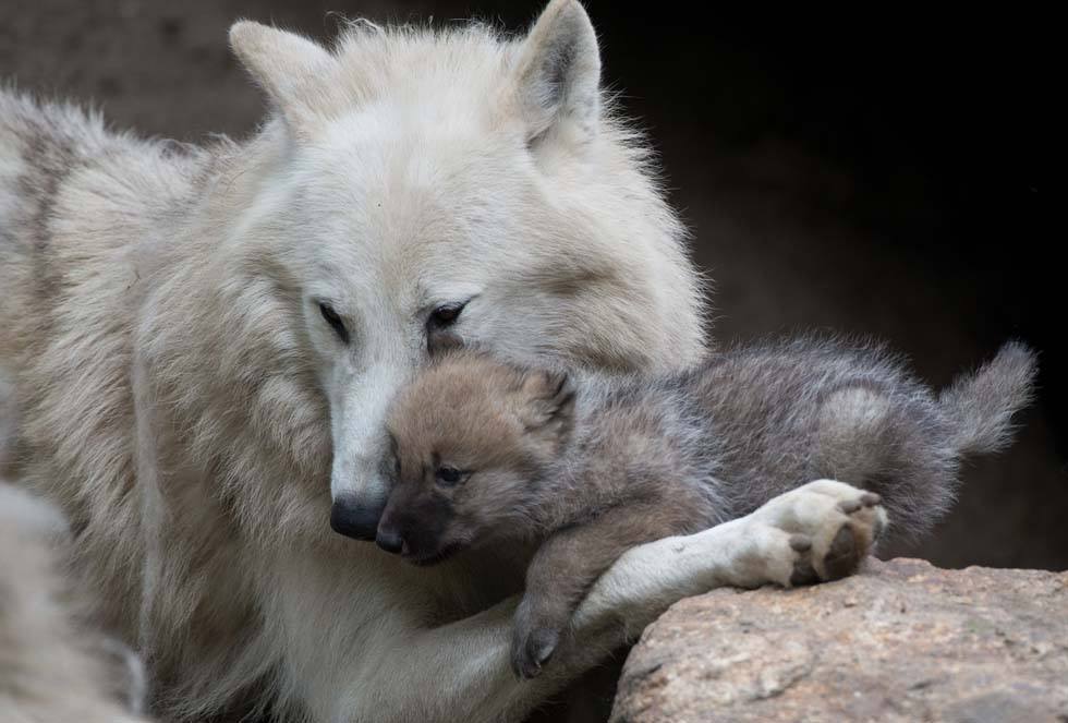 Archillect ID 191085