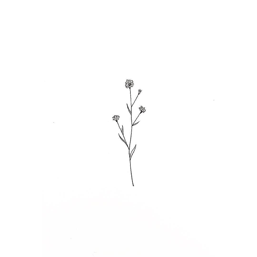 Archillect ID 191149