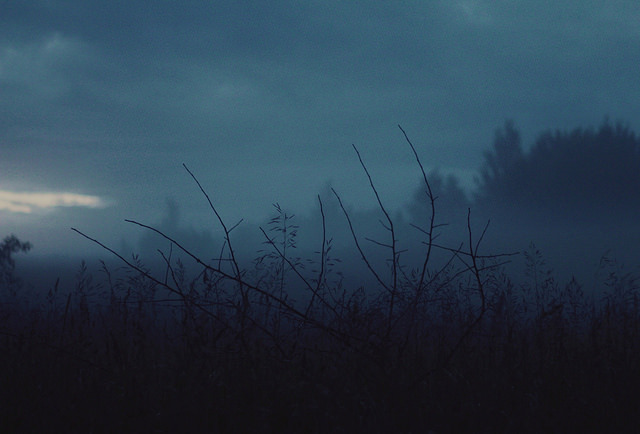 Archillect ID 191151