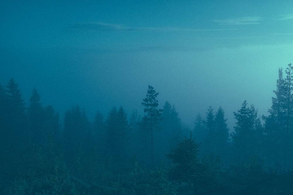 Archillect ID 191253
