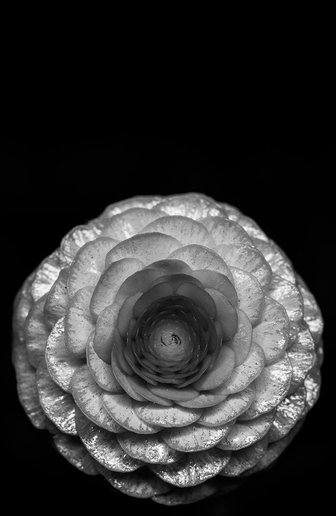 Archillect ID 191437
