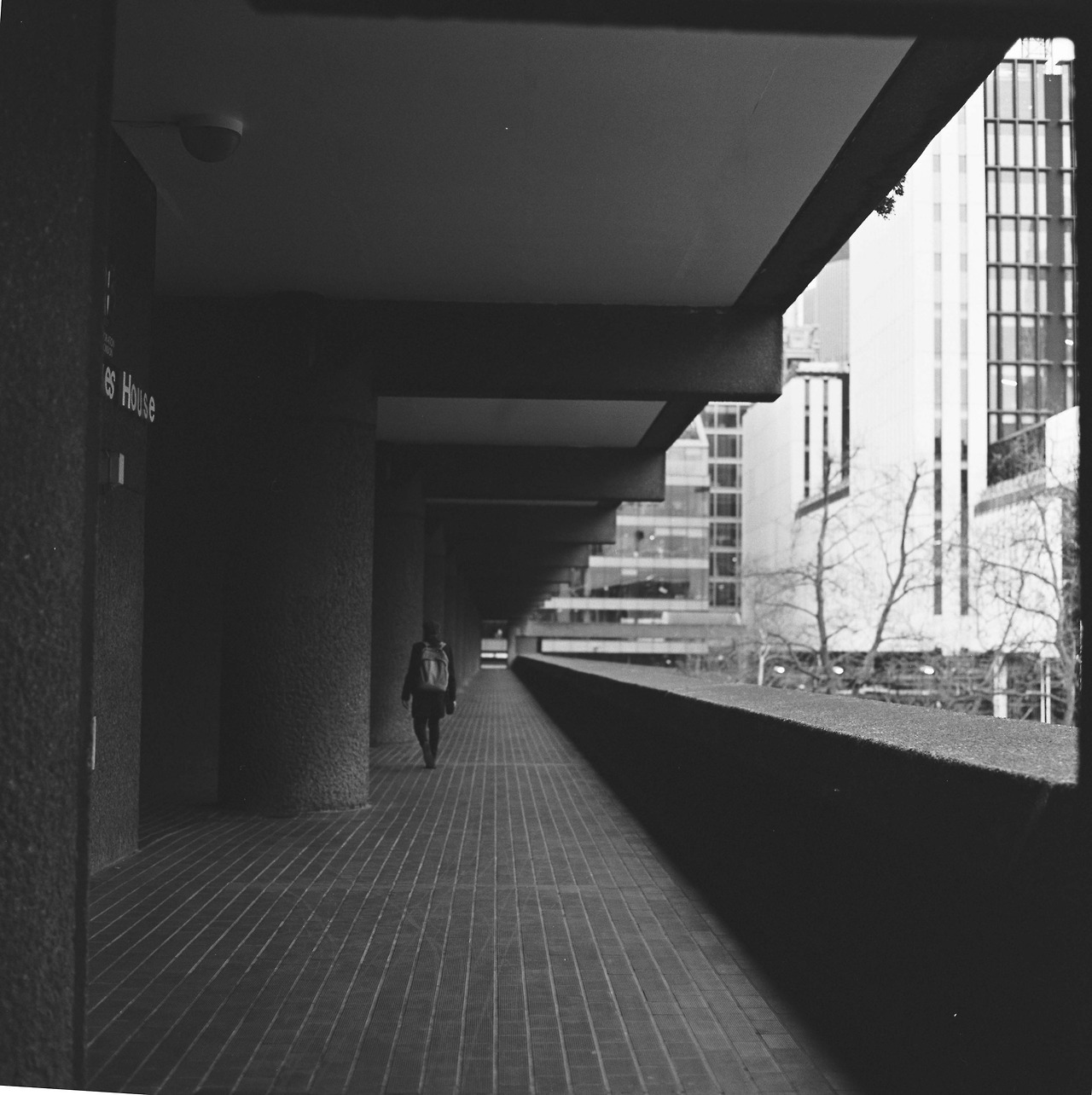 Archillect ID 191638