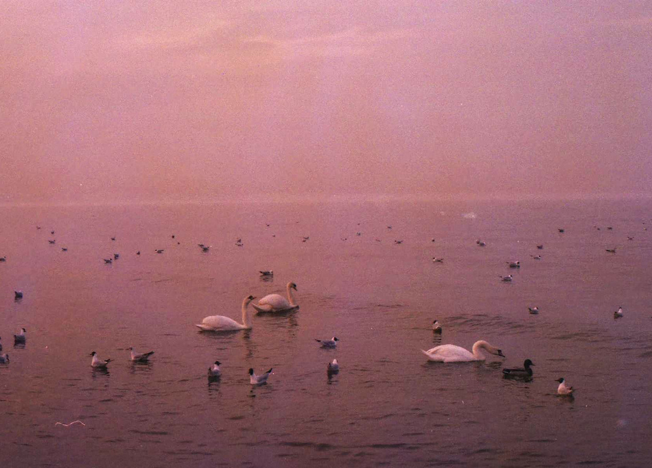 Archillect ID 191781