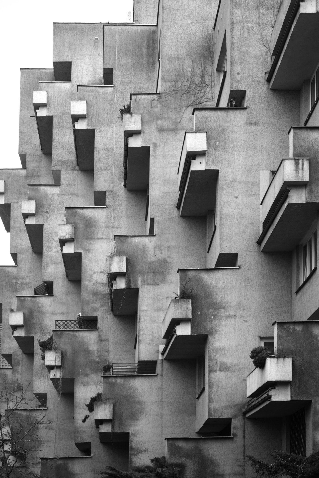 Archillect ID 191865