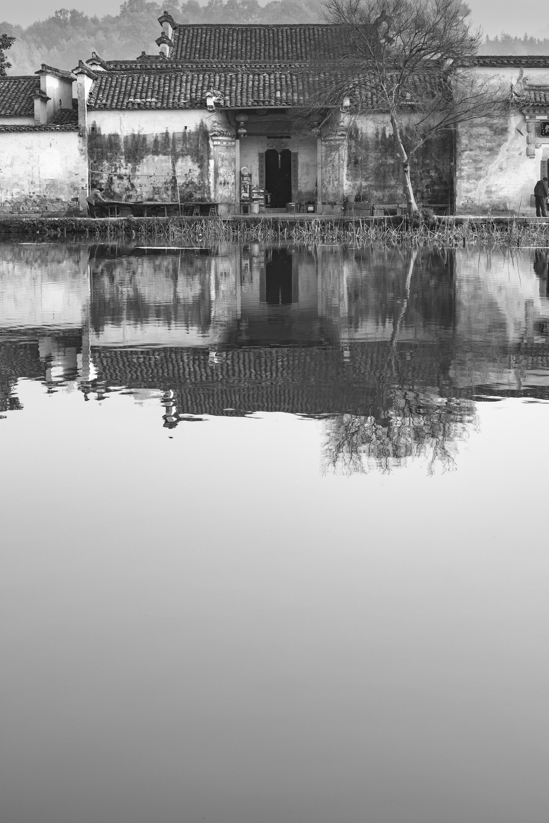 Archillect ID 191978