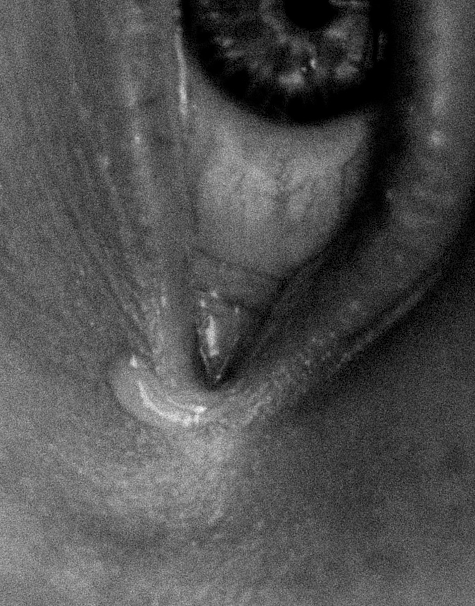 Archillect ID 192009