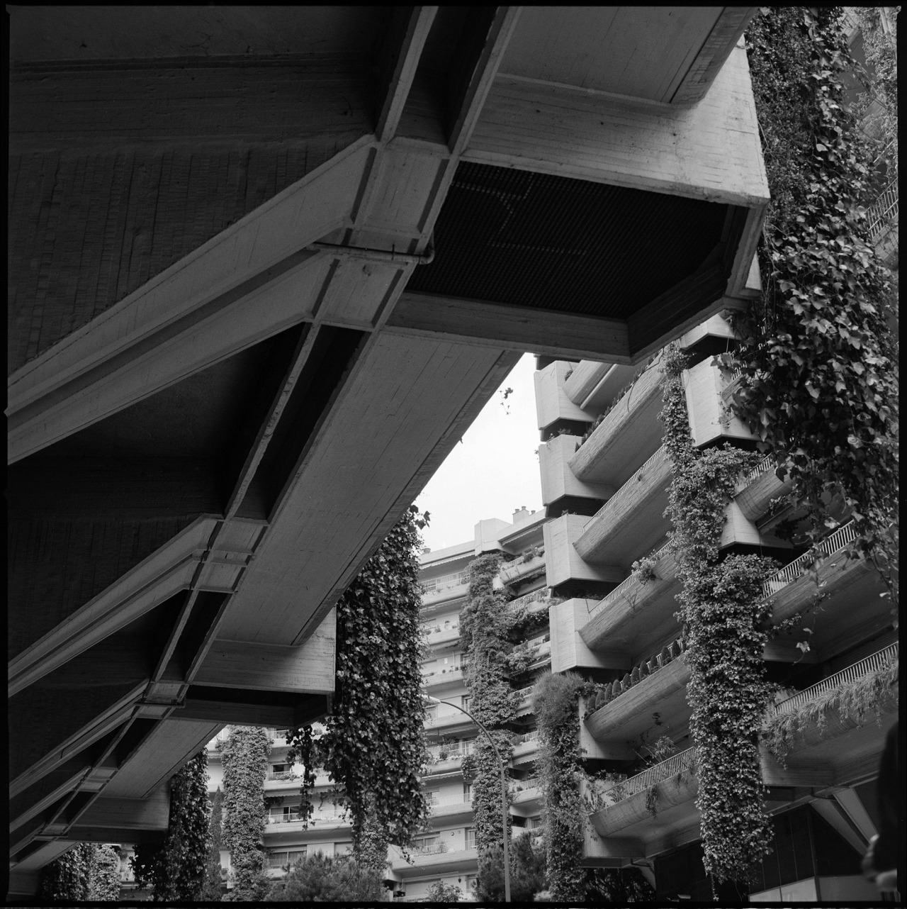 Archillect ID 192076