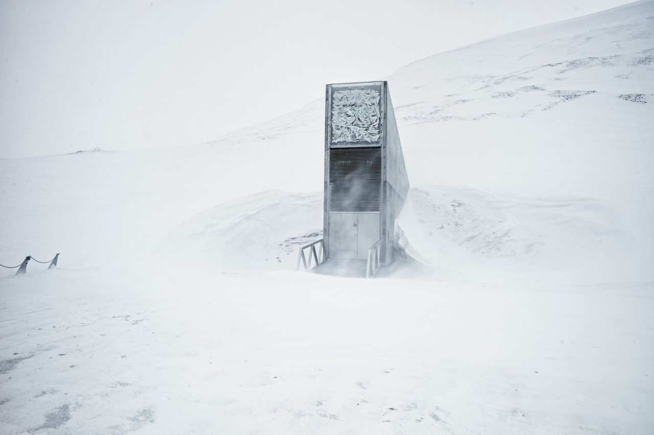 Archillect ID 192081