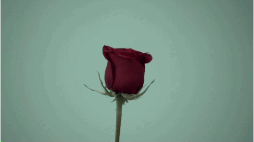 Archillect ID 192354