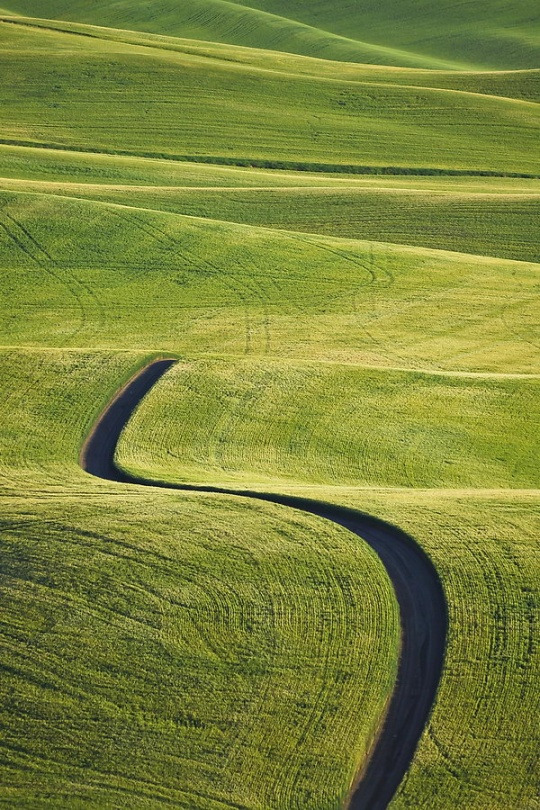 Archillect ID 192984