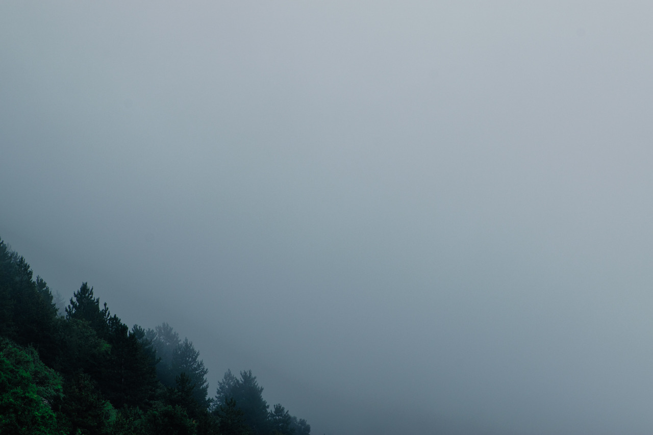 Archillect ID 193006