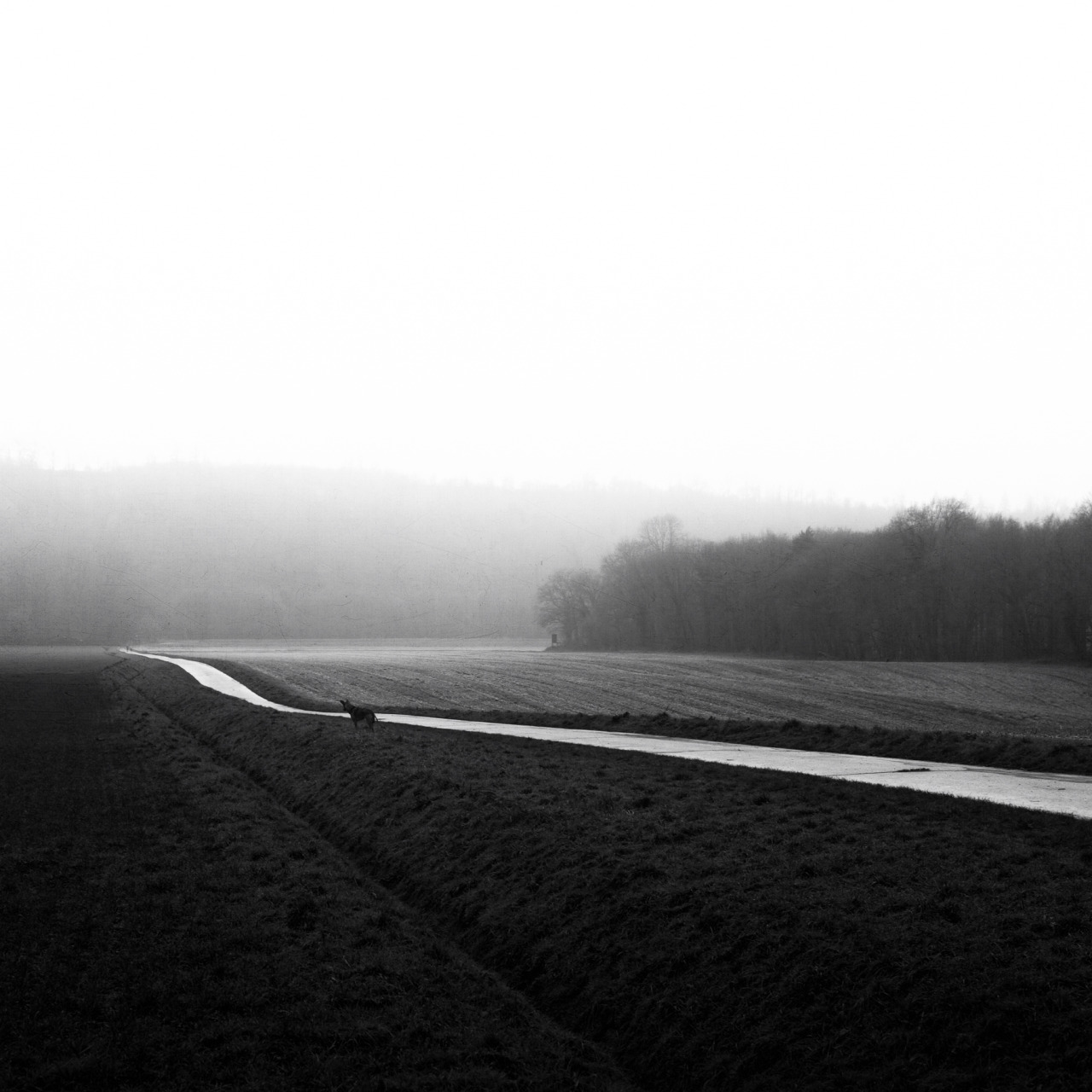 Archillect ID 193007