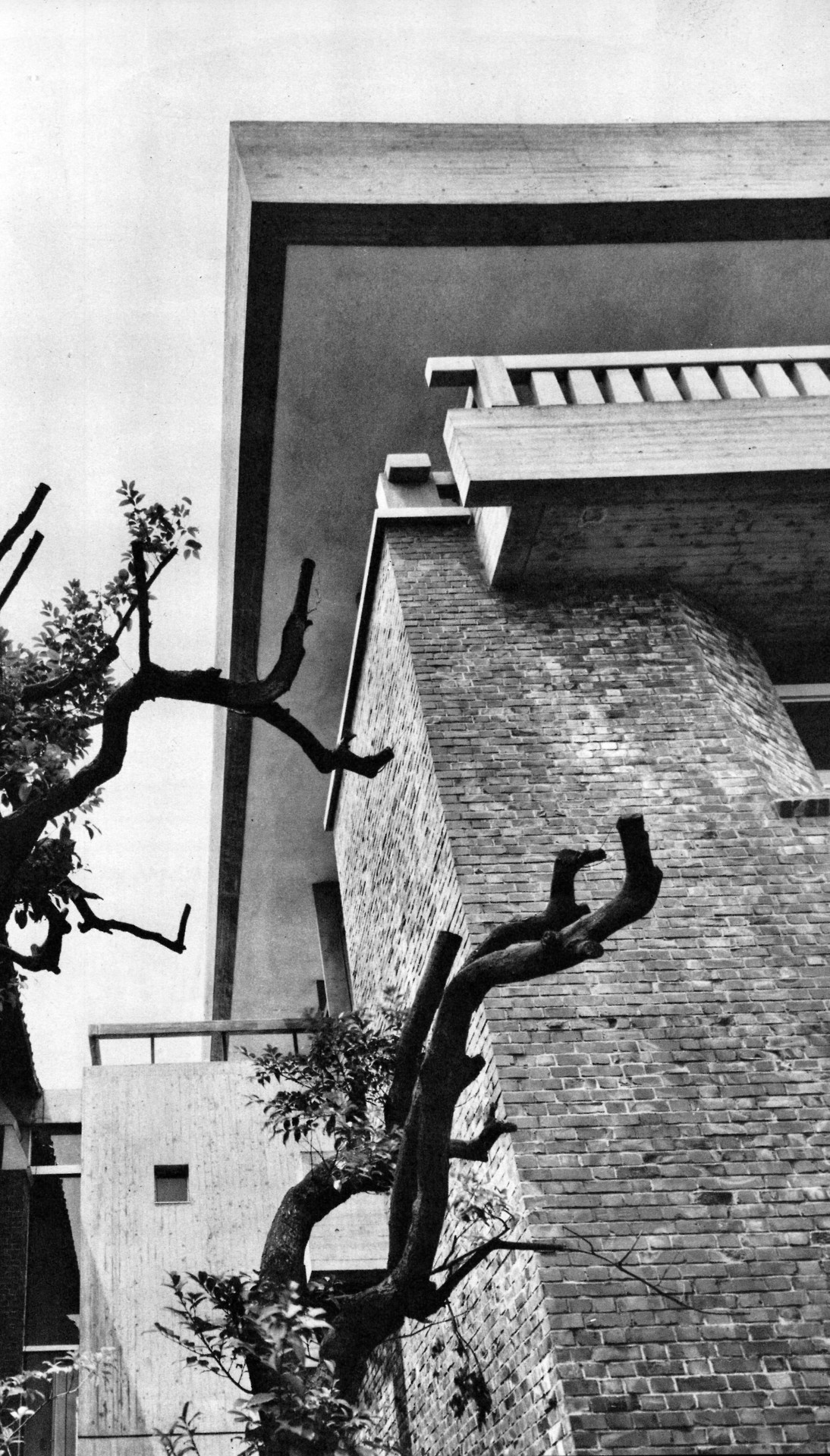 Archillect ID 193016