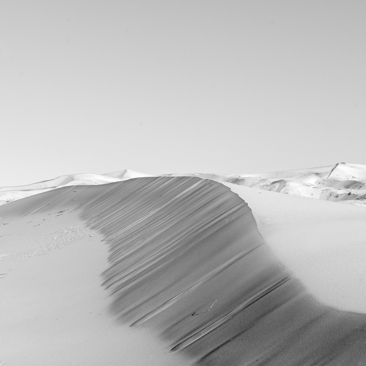 Archillect ID 193096