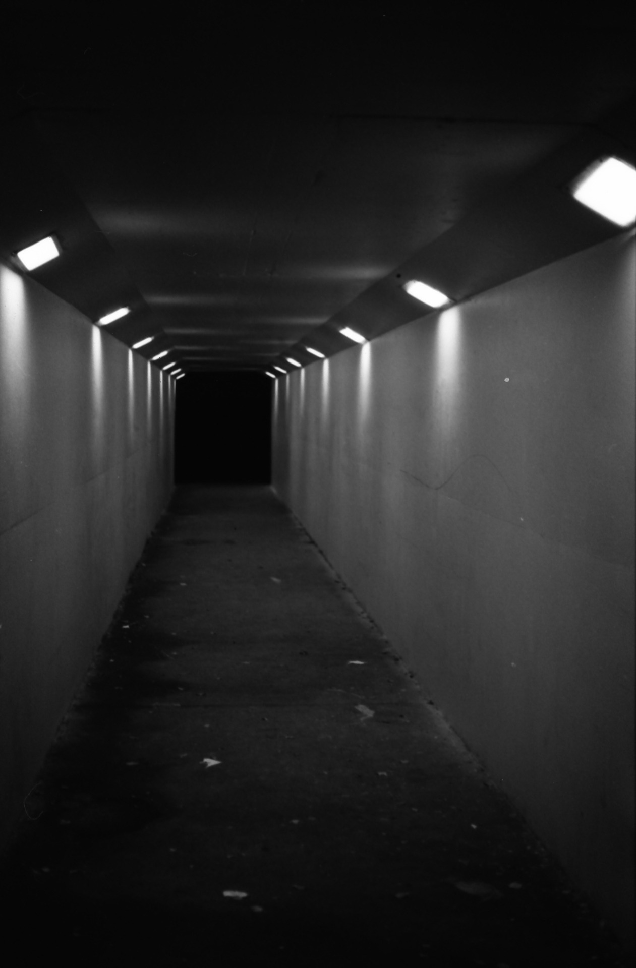 Archillect ID 193381