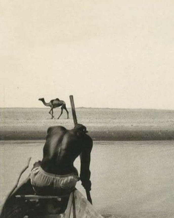 Archillect ID 193482