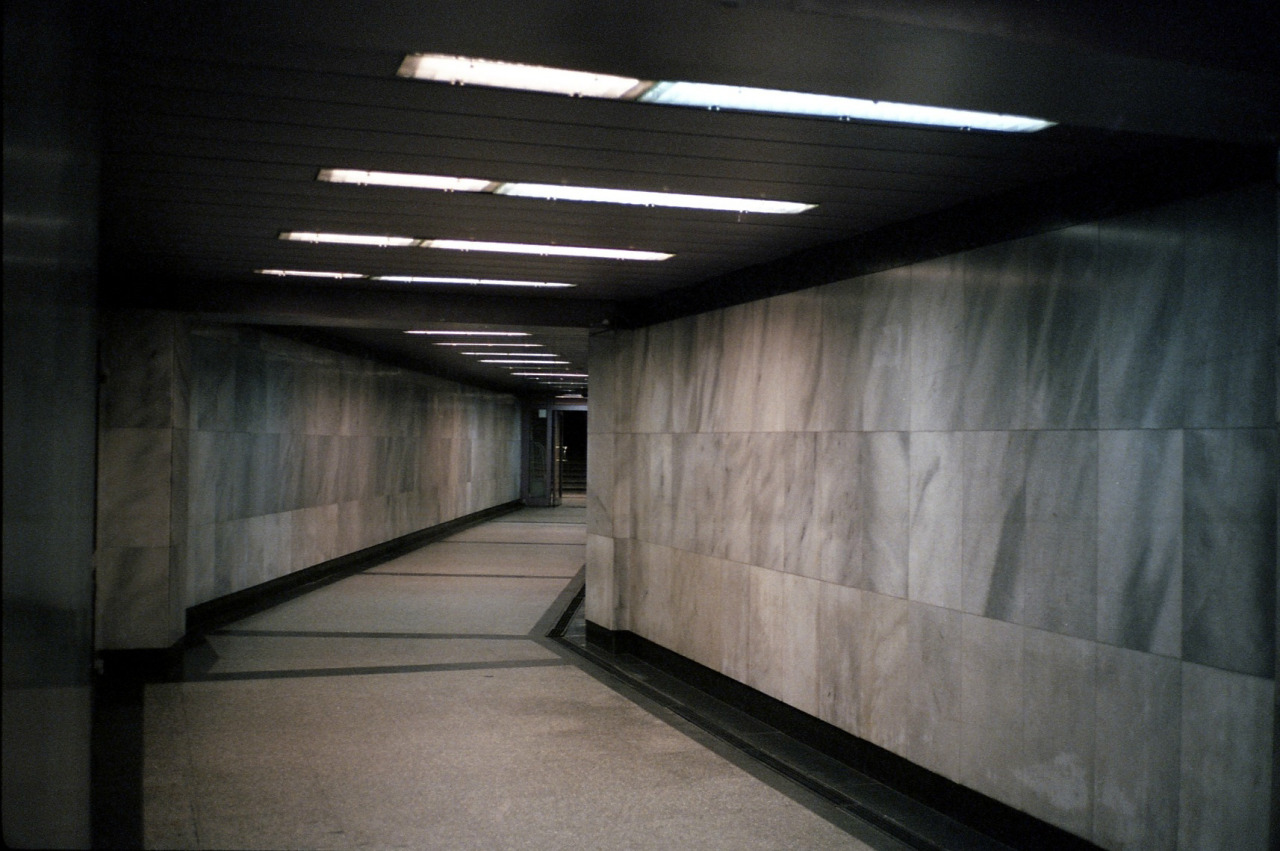 Archillect ID 193500