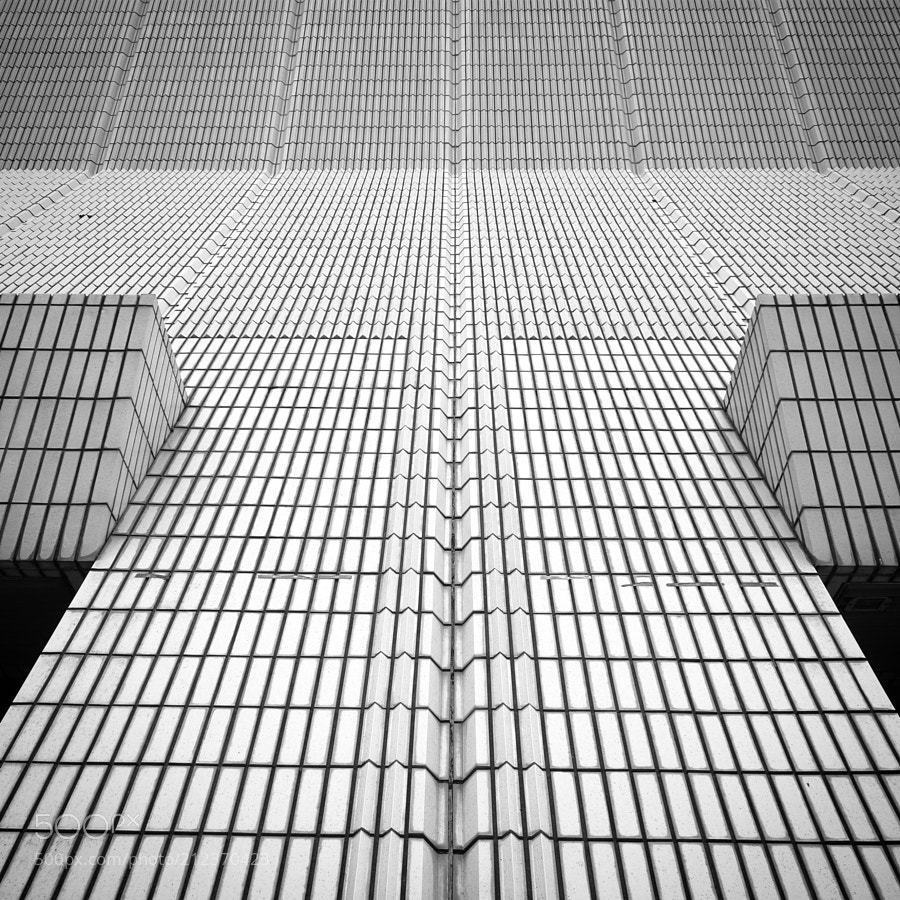 Archillect ID 193849