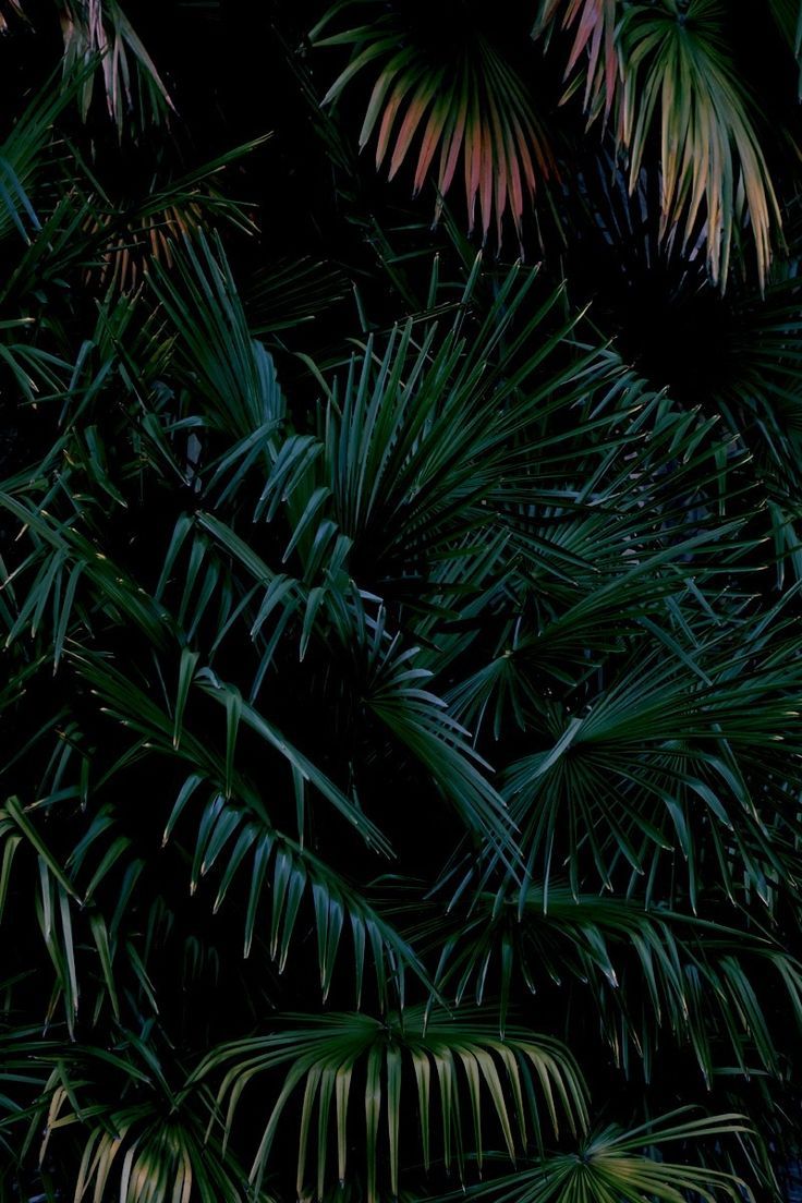 Archillect ID 194070