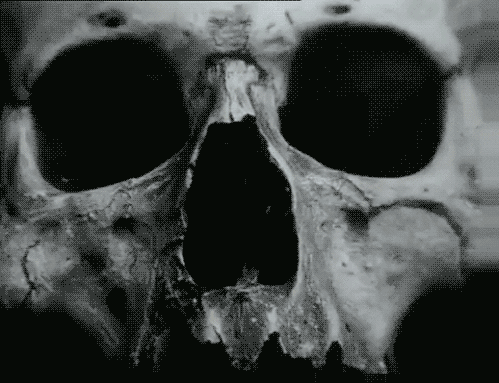 Archillect ID 194202