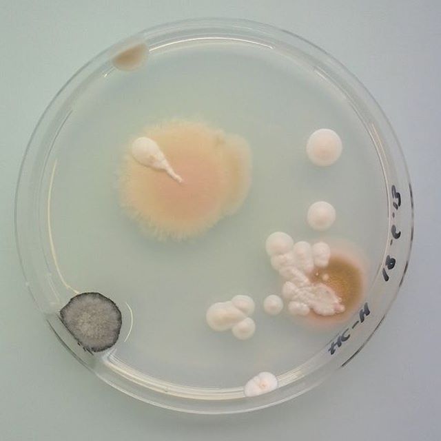 Archillect ID 194792