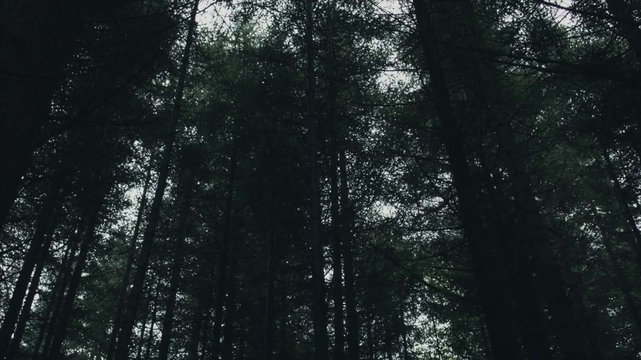 Archillect ID 194971