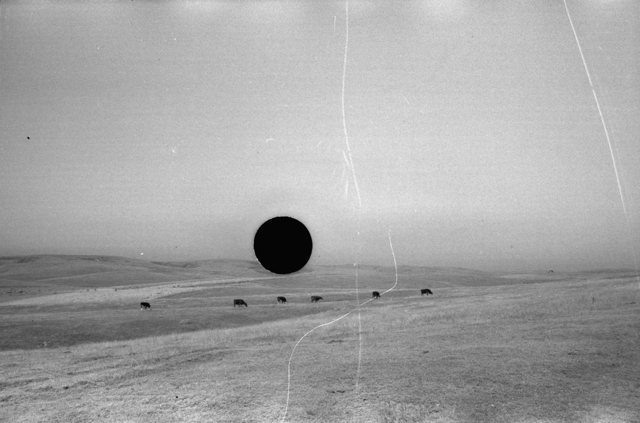Archillect ID 195188