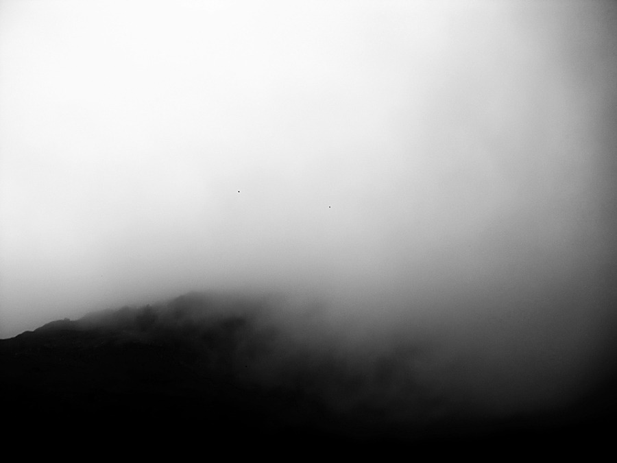Archillect ID 195211